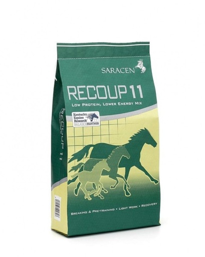 [S-RP11] Recoup 11