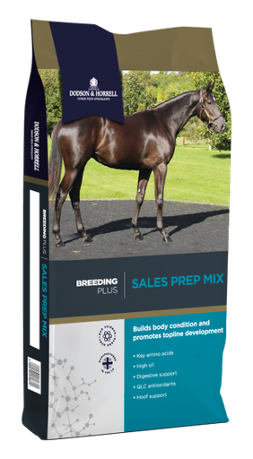 [DH-1SP] Sales Prep Mix