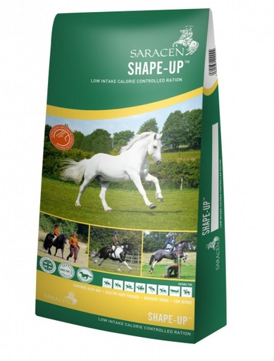 [S-SU] Shape Up