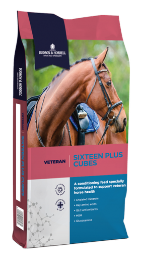 [DH-116C] Sixteen Plus Cubes