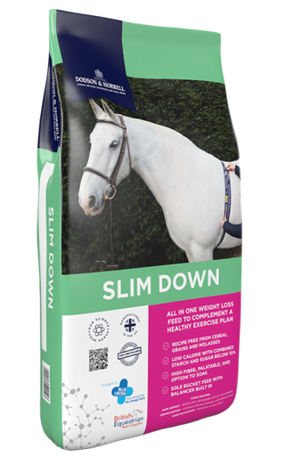 [DH-1SD] Slim Down