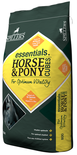 [SHPC-800] Horse & pony cubes