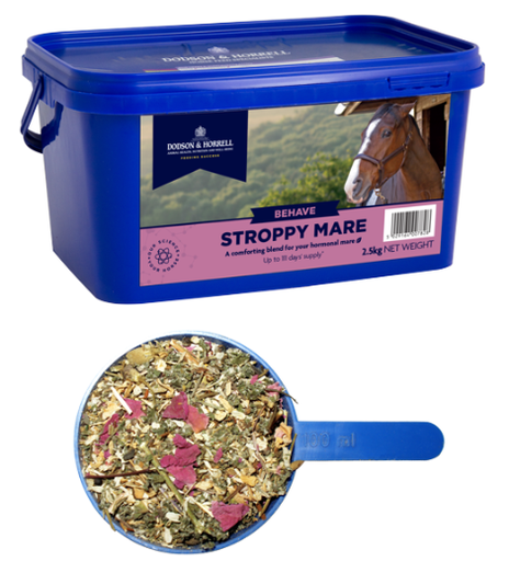 Stroppy Mare - Gedroogd