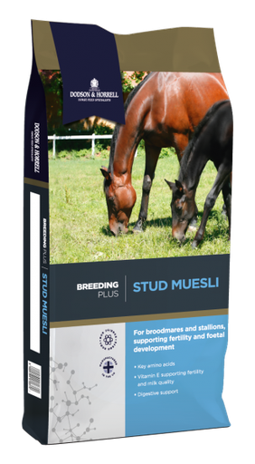 [DH-1SM] Stud Muesli