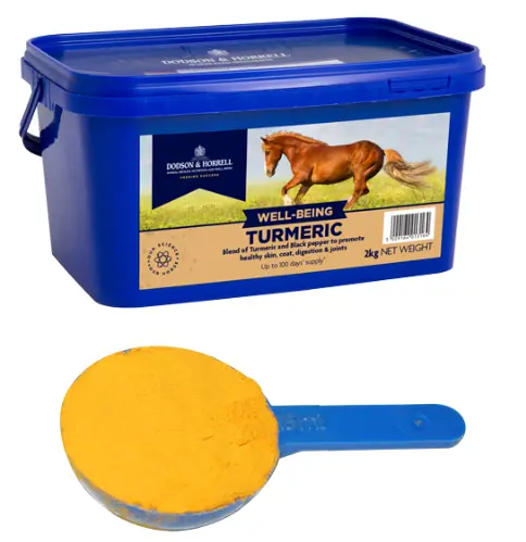 [DH-6TM] Turmeric - Curcuma