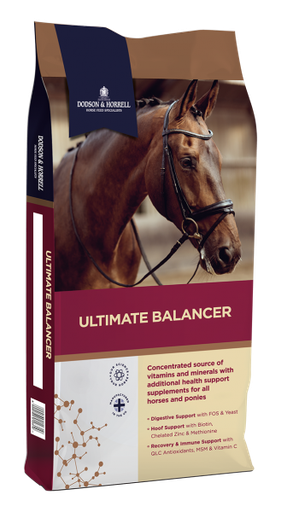 [DH-1UB] Ultimate Balancer