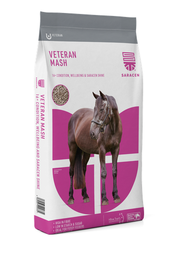 [S-VMSH] Veteran Mash