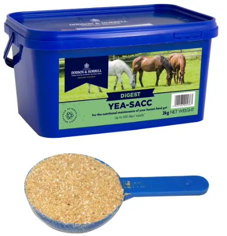 [DH-4Y2] Yea-Sacc