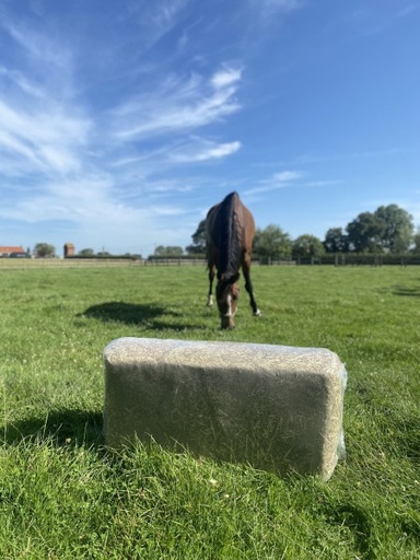 [AR-HAY] AR Royal Fibre Hay - Excellent Hay - Foin dépoussiéré
