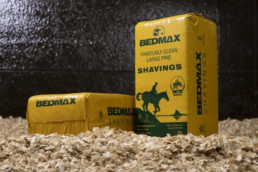 [BM-BM201] Bedmax 