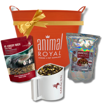 [LO-XMAS24] SURPRISE BUCKET