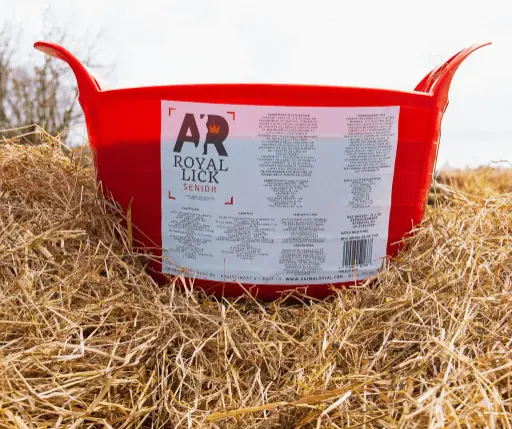 [AR-RLSR] AR Royalick Senior