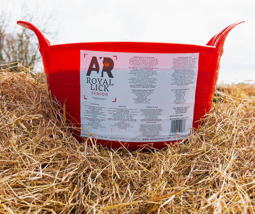 [AR-RLSR] AR Royalick Senior