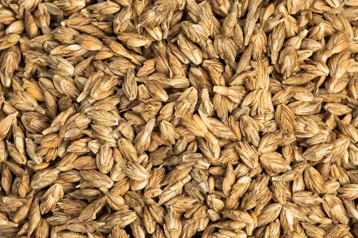 [AR-GS-0928] Spelt (gevlokt) 20kg 