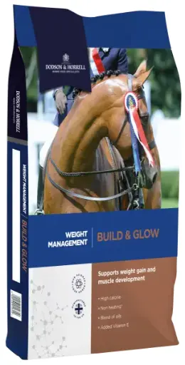 [DH-1BG18] Build & Glow