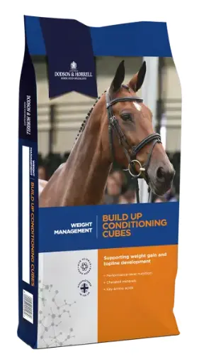 [DH-1BUPC] Build Up Conditioning Cubes