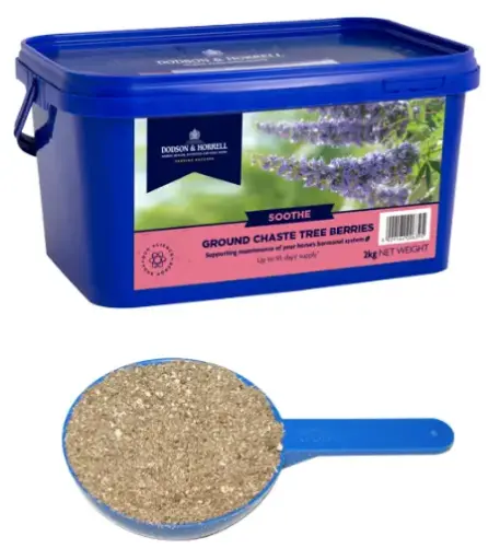 [DH-7CTB2] Ground Chaste Tree Berries - Dried