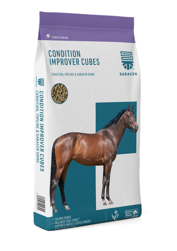 [S-CIC] Condition-Improver Cubes