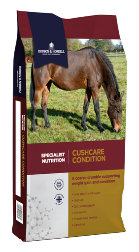 [DH-1CUS] CushCare Condition