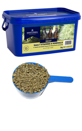 [DH-4DVM2] Daily Vitamines & Minéraux