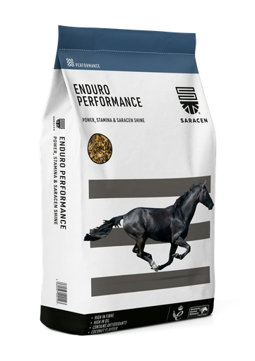 [S-EP] Enduro-Performance