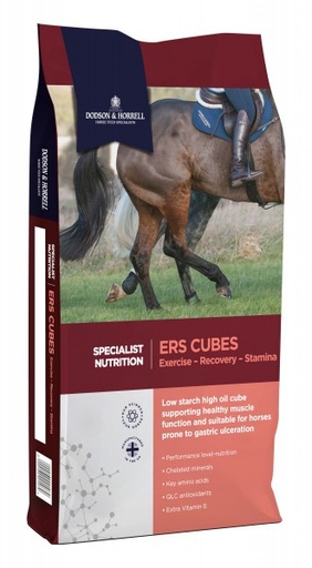 [DH-1ERSc] ERS Cubes