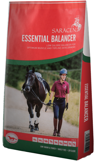 [S-EB] Essential Balancer