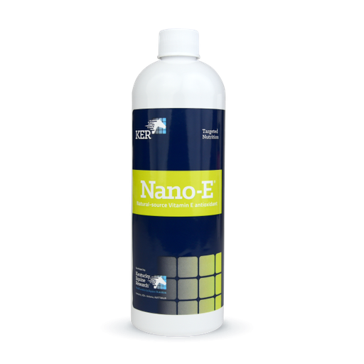 KER Nano-E
