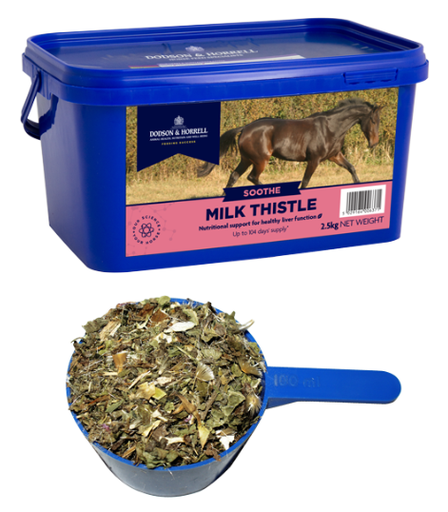 [DH-6MT5] Milk Thistle - Chardon Marie - Séché