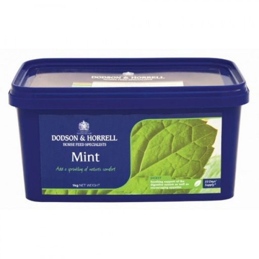 Mint - Dried