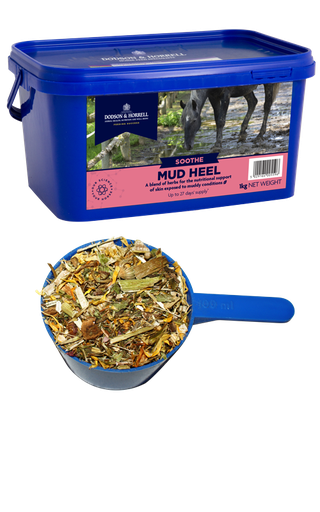 [DH-6MF] Mud Heel - Dried